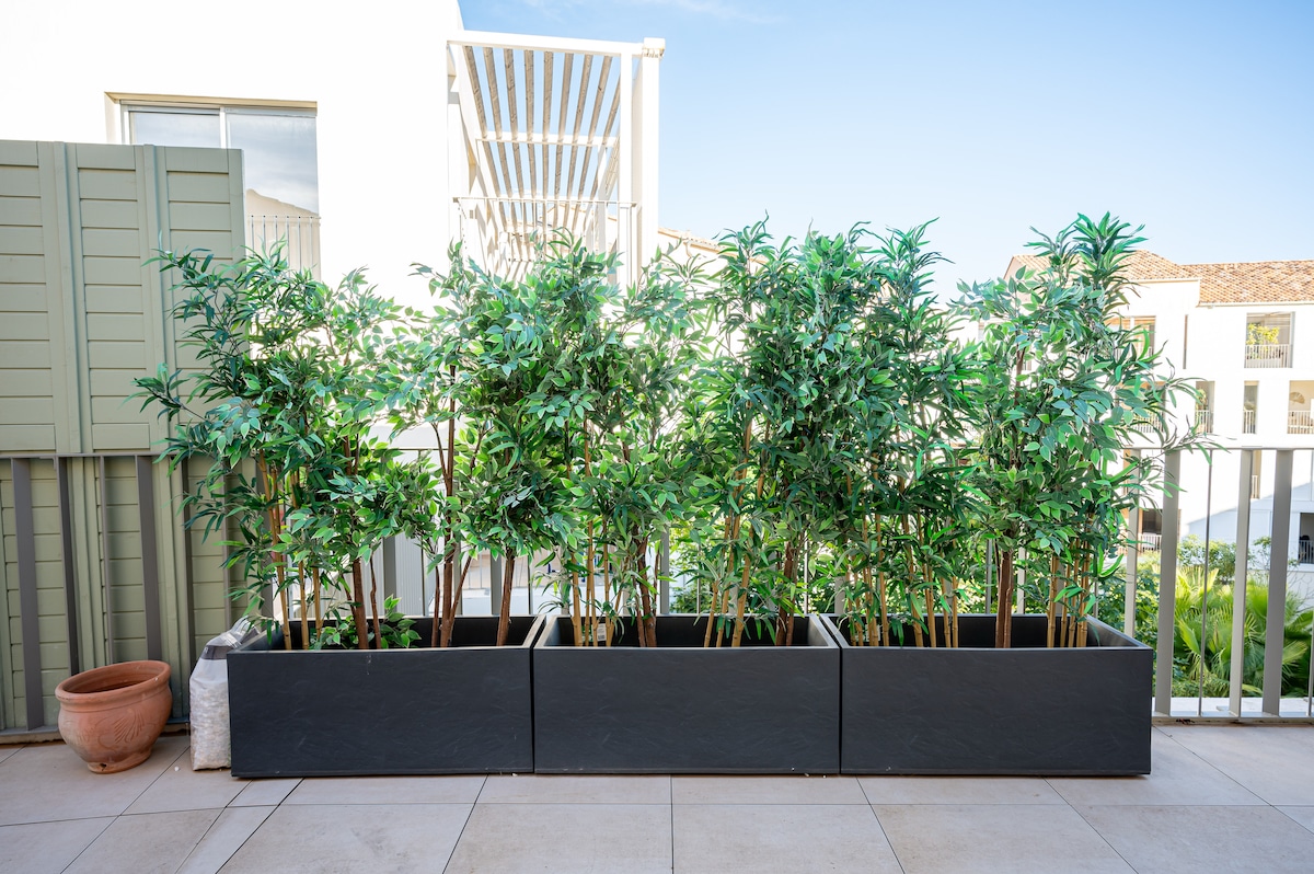 Terrace planters with green privacy screen